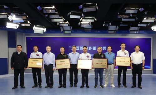 美丽乡村展厅打造攻略，让乡村魅力在展厅中绽放