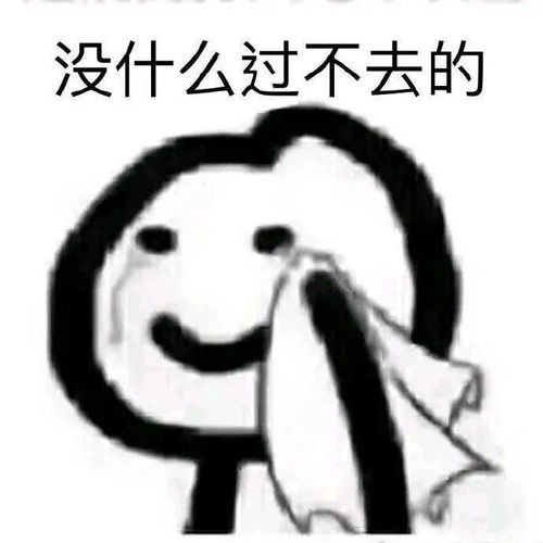 美国买鸭绒被的价格揭秘，一斤多少钱？