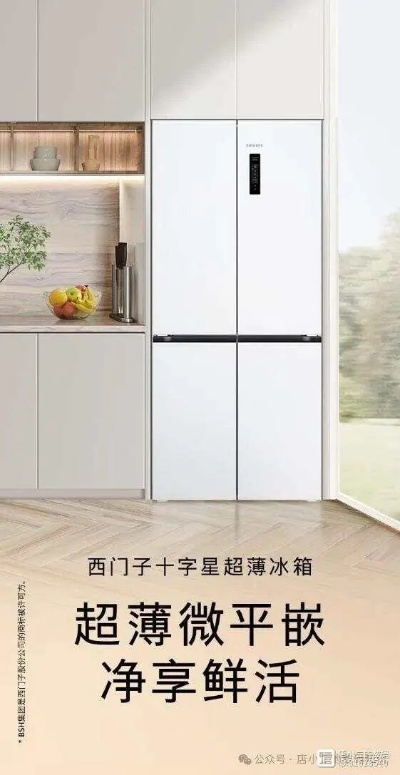 西冷冰箱，大品牌还是小众之选？一探究竟！