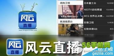 湖南卫视直播消失之谜，原因揭秘与应对策略