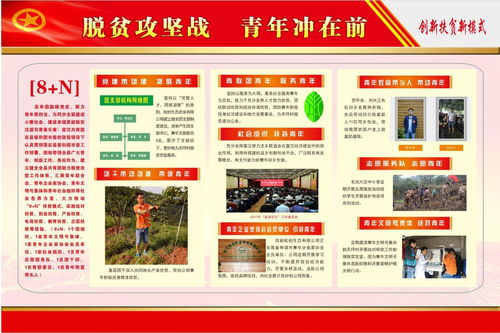 共青团助力乡村治理，青春力量在行动