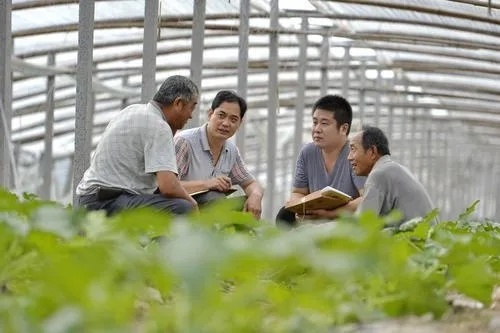 新时代乡村干部如何接地气助力乡村振兴—实用指南与案例分析