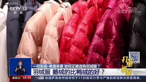 鹅绒被VS鸭绒被，谁才是冬日里的温暖守护者？