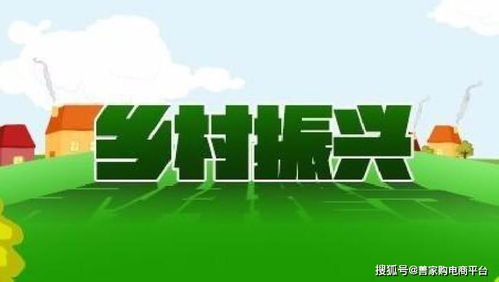 如何让乡村的美丽永驻—乡村可持续发展策略解析