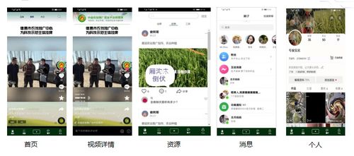 互联网+智慧乡村，开启乡村振兴新篇章