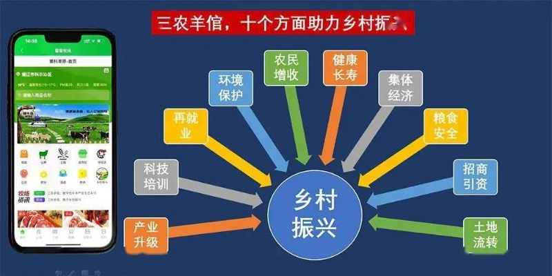 乡镇一把手如何做好乡村振兴—实战攻略与案例分析