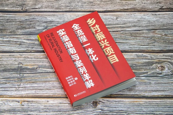 乡镇一把手如何做好乡村振兴—实战攻略与案例分析