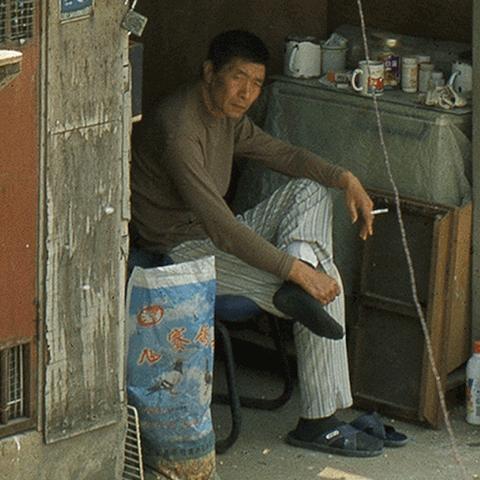 新手乡村道练车指南，安全起步，快乐驾驶