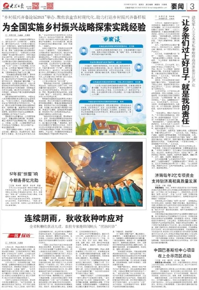 如何贯彻落实惯窃党乡村振兴战略—实操指南与案例分析