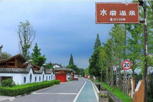 打造美丽乡村，共绘乡村振兴新画卷