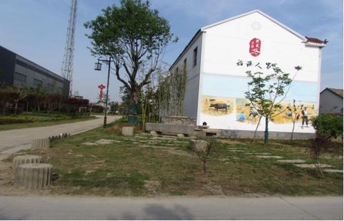 打造美丽乡村，共绘乡村振兴新画卷