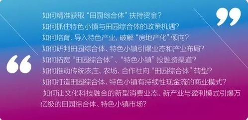 如何打造一份高效的乡村市场调研计划—实操指南