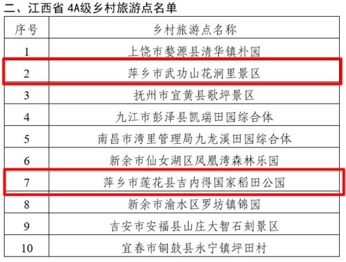 如何打造一份高效的乡村市场调研计划—实操指南