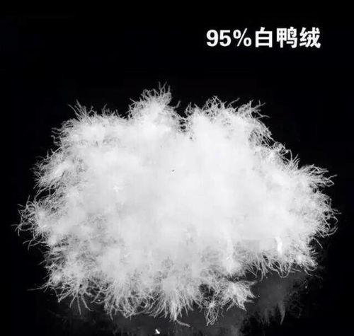 鸭绒被与鹅绒被，水洗还是干洗？一场关于保暖与保养的较量