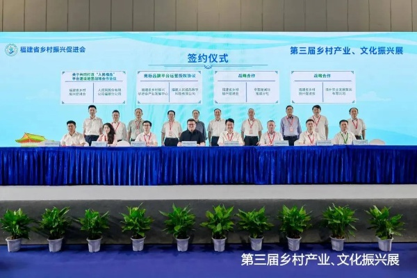 如何打造乡村振兴产业联盟，共绘美丽乡村新画卷