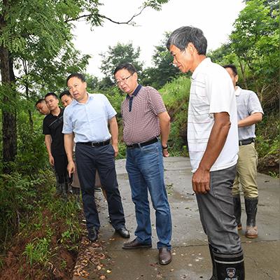麻阳乡村洪水情况纪实，抗洪一线的坚守与希望