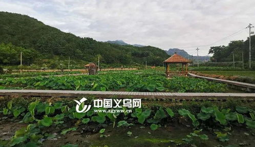 长阳乡村旅游，蓬勃发展，未来可期