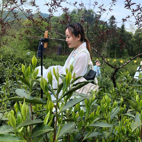 环保部门助力乡村振兴，共绘美丽乡村新画卷