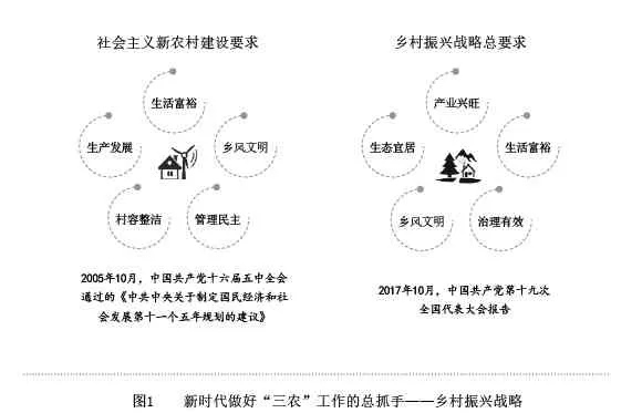 全面构建乡村振兴工作大格局，策略与实践