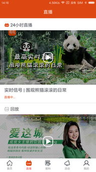 快手外地直播攻略，轻松看遍全国精彩瞬间