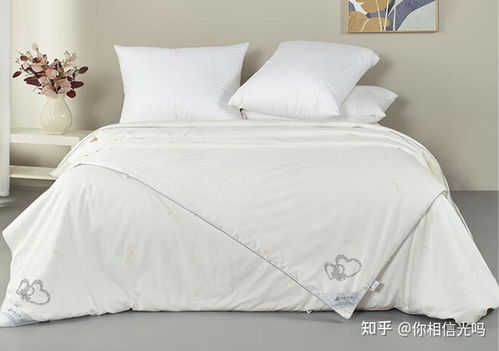 蚕丝被与鸭绒被价格对比，哪个更贵？