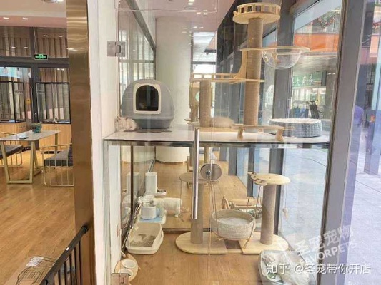 乡村开宠物店全攻略，从选址到经营，一步步教你成功开店！
