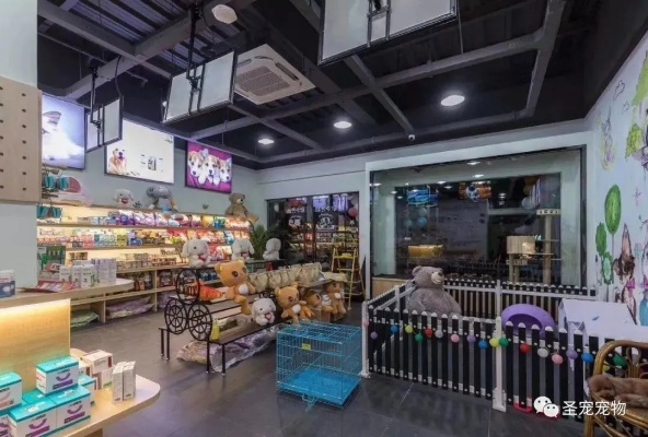 乡村开宠物店全攻略，从选址到经营，一步步教你成功开店！