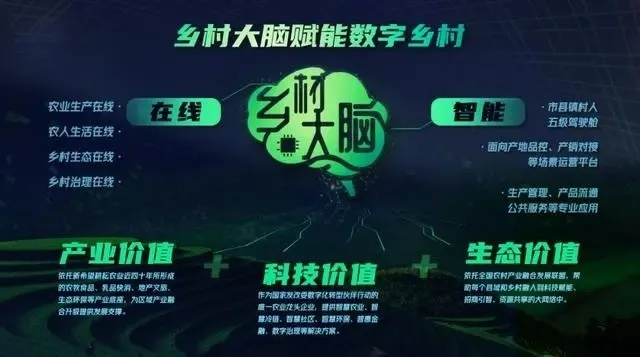 数字化赋能乡村，让生活焕发新活力
