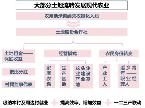 毛概视角下乡村振兴战略的实施路径与案例分析