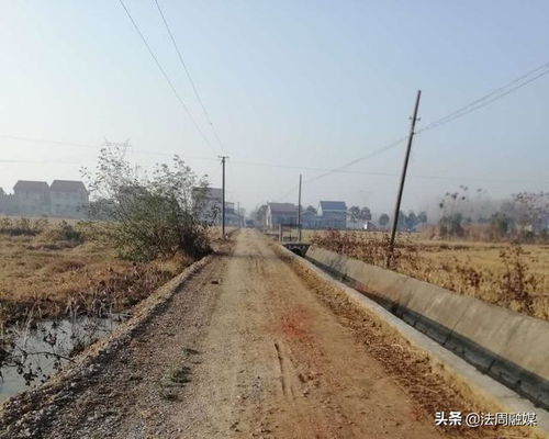 青春助力乡村梦—青少年如何为家乡发展添砖加瓦