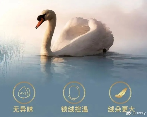 告别冰岛雁鸭绒被，这些替代品一样温暖舒适！