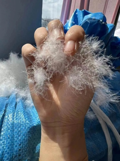 肥东鸭绒被厂销售热线，温暖您的冬日梦乡