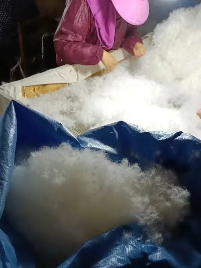 鸭绒被的诞生之旅—揭秘鸭绒被充绒全过程