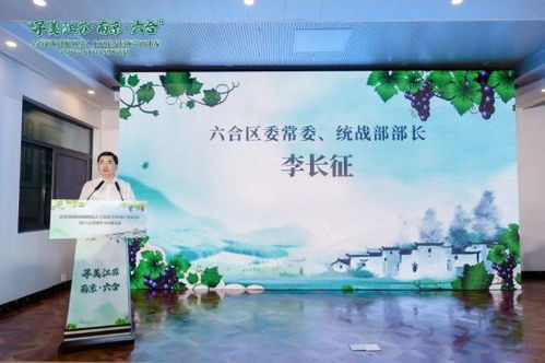 有声书助力乡村振兴，创新传播方式，赋能乡村发展