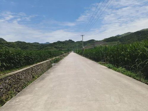 轻松申报乡村道路建设补贴资金，让乡村道路更畅通