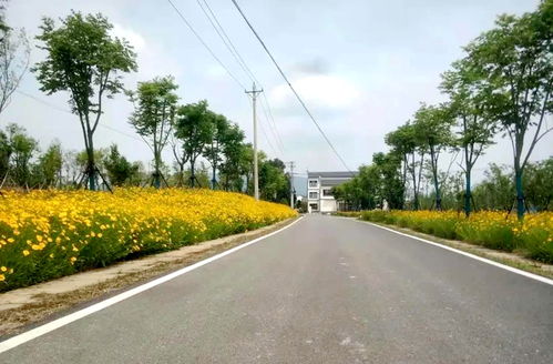 轻松申报乡村道路建设补贴资金，让乡村道路更畅通