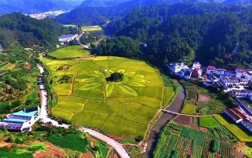 镇远县乡村振兴战略实施路径与案例分享