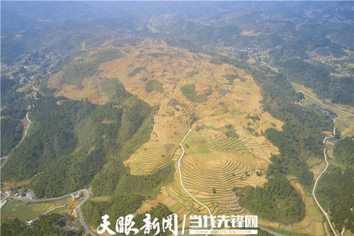 镇远县乡村振兴战略实施路径与案例分享