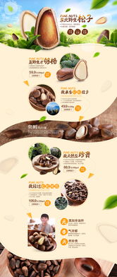东北特色零食加盟攻略，盘点热门品牌，开启创业新篇章