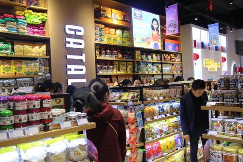 东北特色零食加盟攻略，盘点热门品牌，开启创业新篇章