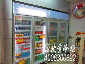 便利店冰箱品牌大盘点，知乎网友推荐，选对品牌让生意更旺！