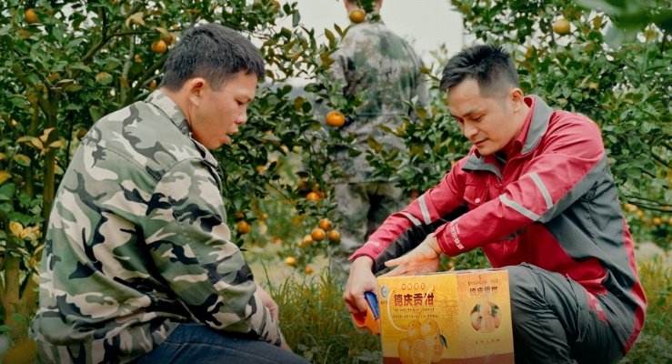 京东购物助力乡村振兴，如何将电商服务送到田间地头