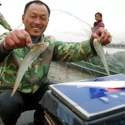 轻松上手百度直播，开启你的直播之旅！