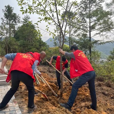 青年干部如何助力乡村振兴—实战攻略与案例分析