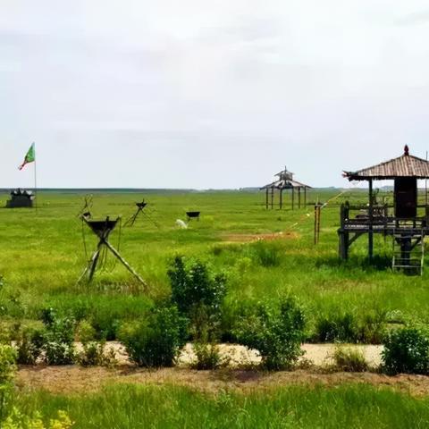 松原市振兴乡村，共绘美好田园画卷