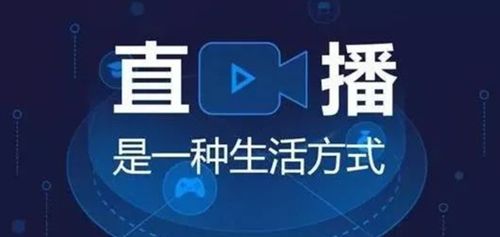 陶瓷直播，如何通过直播带货实现财富增长