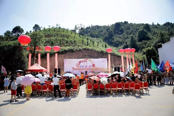 乡村旅游节成功举办全攻略，从策划到落幕的详细流程
