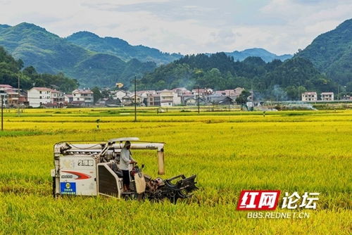 乡村景致，如诗如画