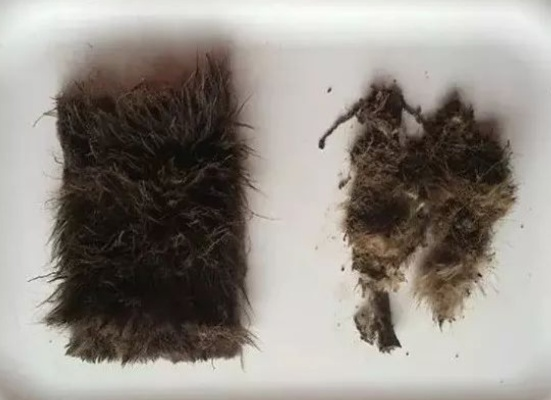 揭秘鸭绒被烧给死人的真相，是迷信还是科学？
