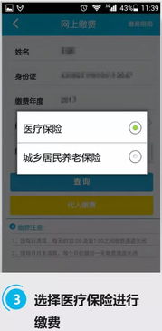 乡村医保交费攻略，轻松了解缴费流程和注意事项